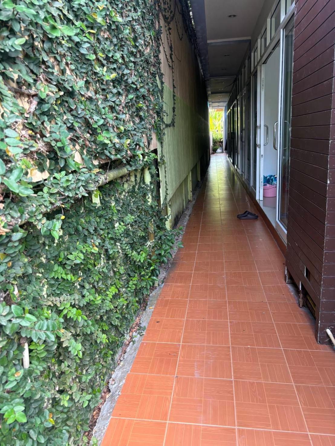 Hotel Rung Phangan Baan Tai Esterno foto